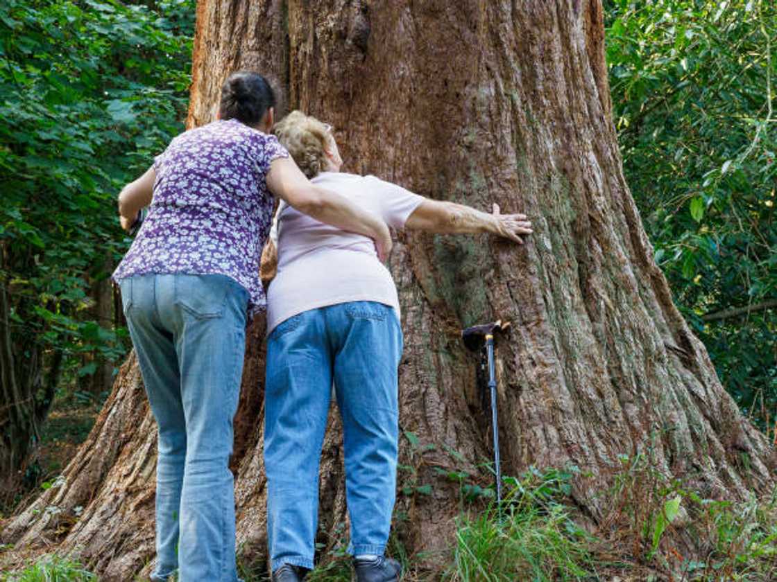 Matashi ya koma Birtaniya kula da tsofaffi daga Ghana Matashi ya koma Birtaniya kula da tsofaffi daga Ghana