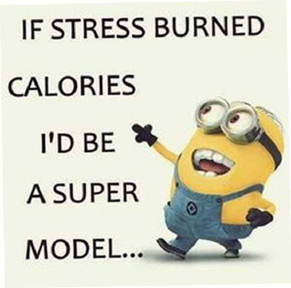 minion meme