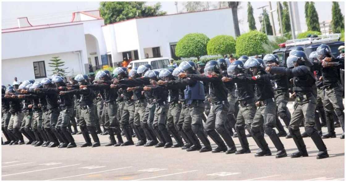 Police operatives/Yobe couple/ Disguised Yobe couple