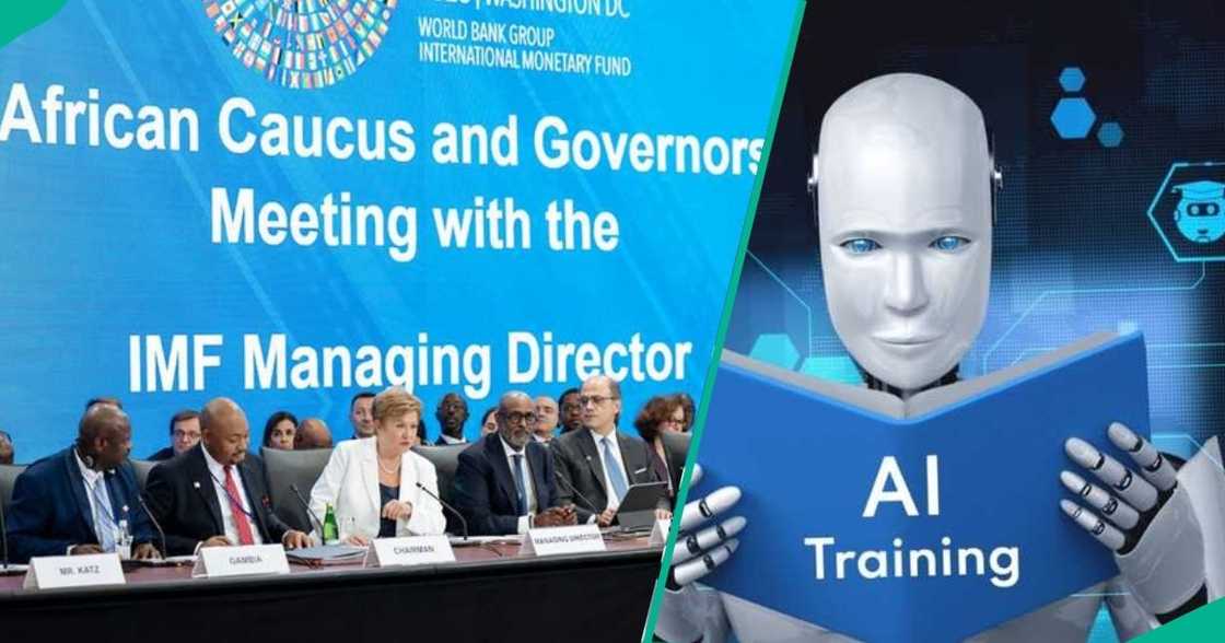 Governments have been urged to rethink education and employment policies Governments have been urged to rethink education and employment policies