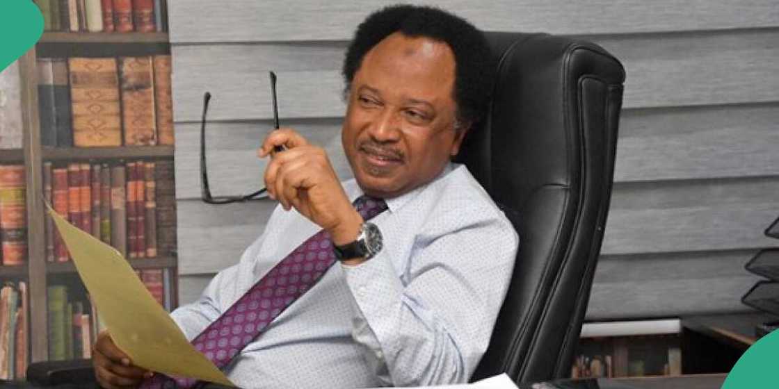 Shell, Agip, Shehu Sani