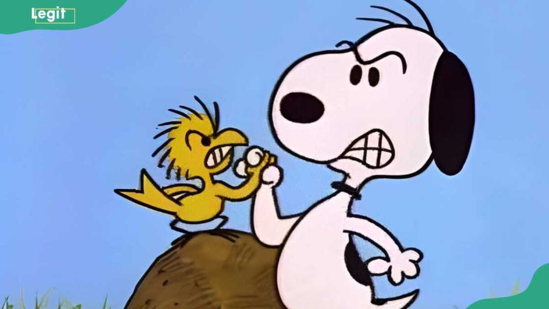 Snoopy and Woodstock Snoopy and Woodstock