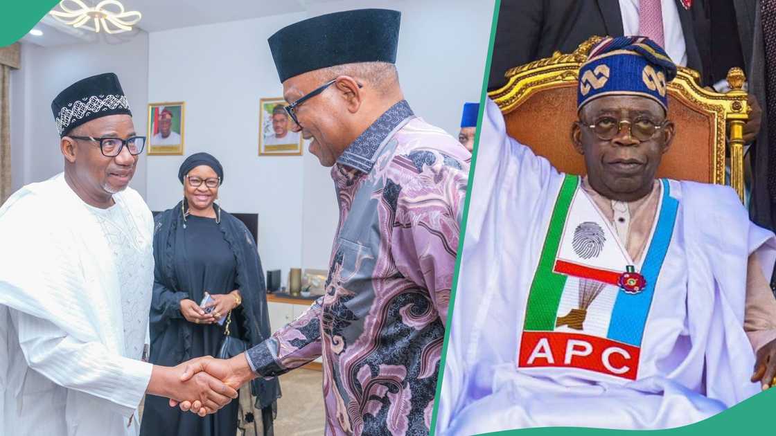 Peter Obi, Bala Mohammed lead alliance talks against President Bola Tinubu's 2027 presidential election. Peter Obi, Bala Mohammed lead alliance talks against President Bola Tinubu's 2027 presidential election.