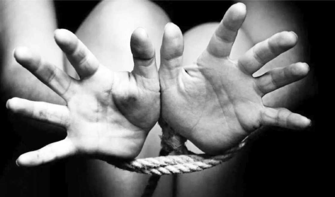 Katsina Kidnappers Katsina Kidnappers