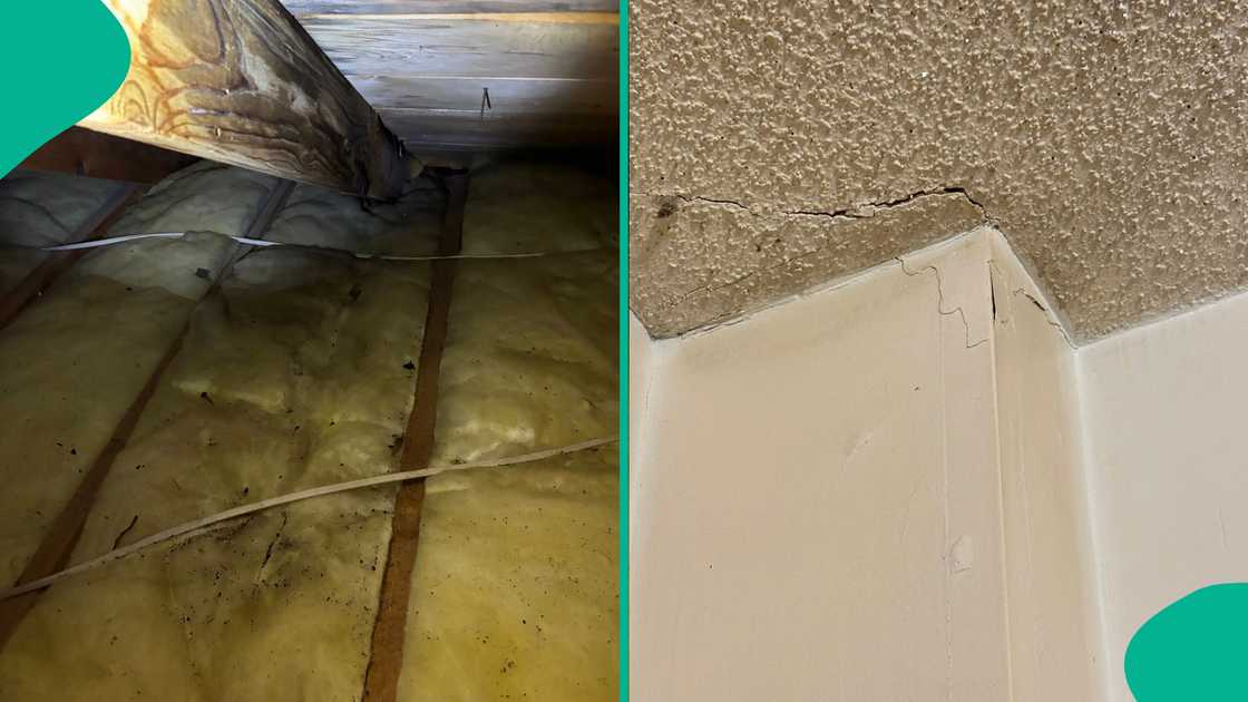 Woman laments after installing solar in her house, shows great damage it did Woman laments after installing solar in her house, shows great damage it did