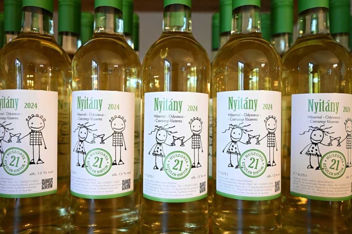 政府已投入數百萬歐元來檢測和防止疾病傳播 政府已投入數百萬歐元來檢測和防止疾病傳播