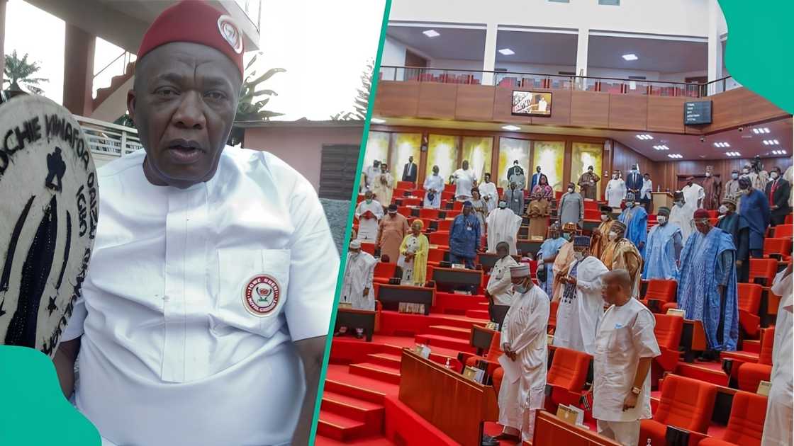 Lawyer from Nnewi urges National Assembly to approve Etiti state for Southeast region. Lawyer from Nnewi urges National Assembly to approve Etiti state for Southeast region.