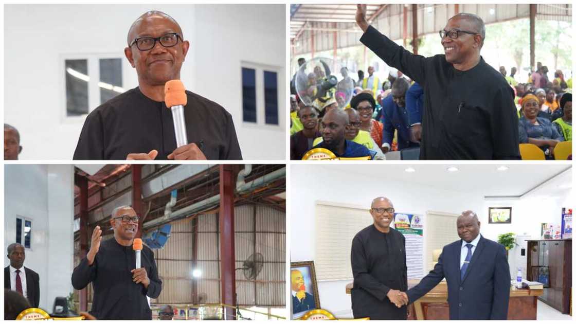 Peter Obi, Labour Party, 2023 elections, The Lord's Chosen, Lagos state Peter Obi, Labour Party, 2023 elections, The Lord's Chosen, Lagos state