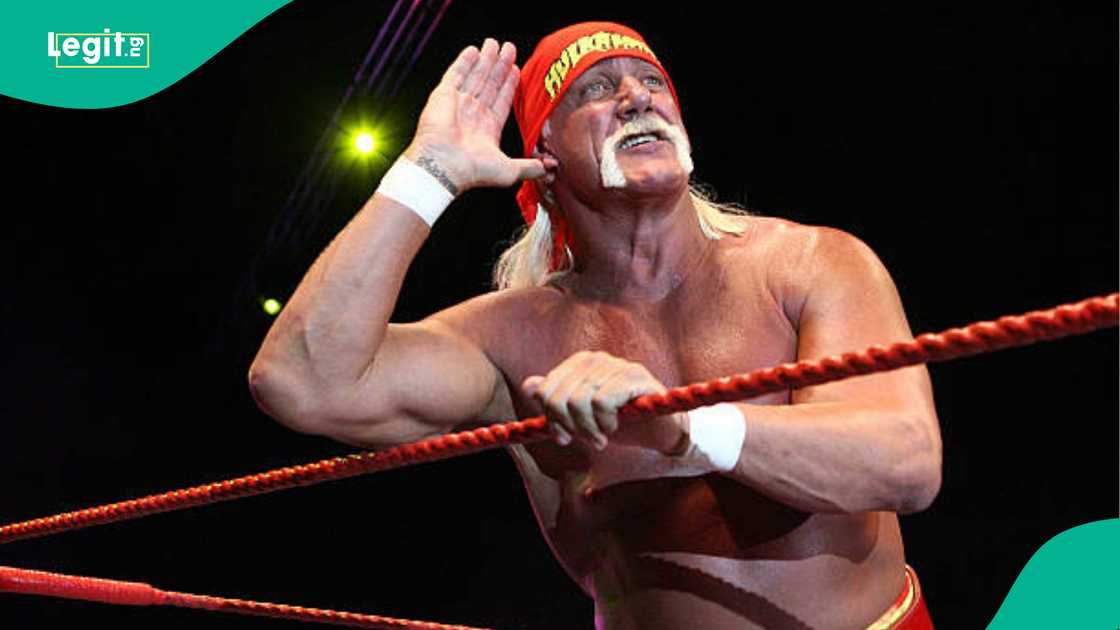 Hulk Hogan, WWE Wrestling, Hogan is dead, Wrestling, Terry Bollea Hulk Hogan, WWE Wrestling, Hogan is dead, Wrestling, Terry Bollea