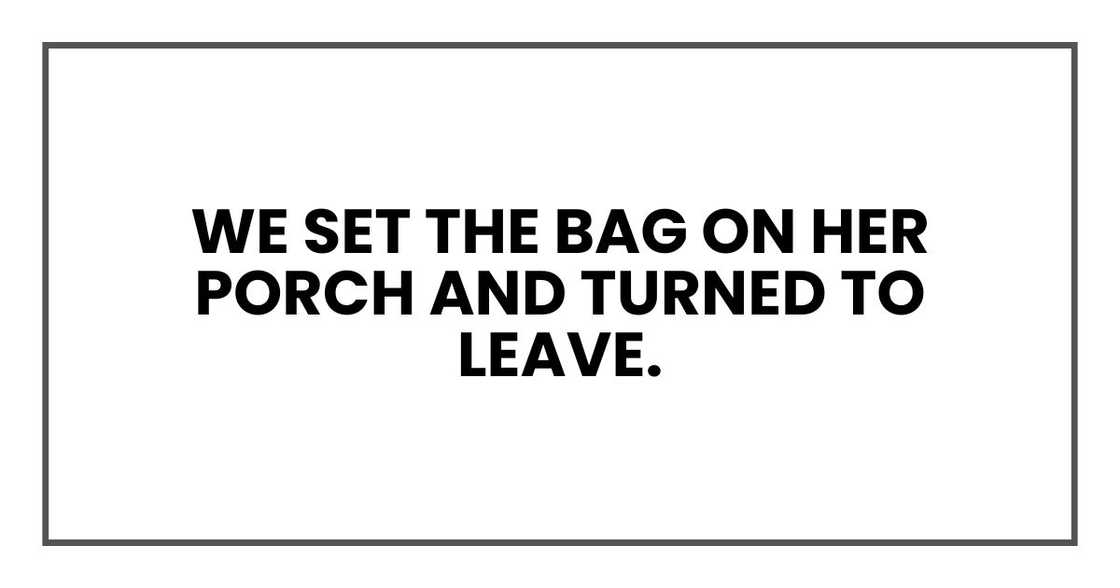 We set the bag on her porch and turned to leave. We set the bag on her porch and turned to leave.