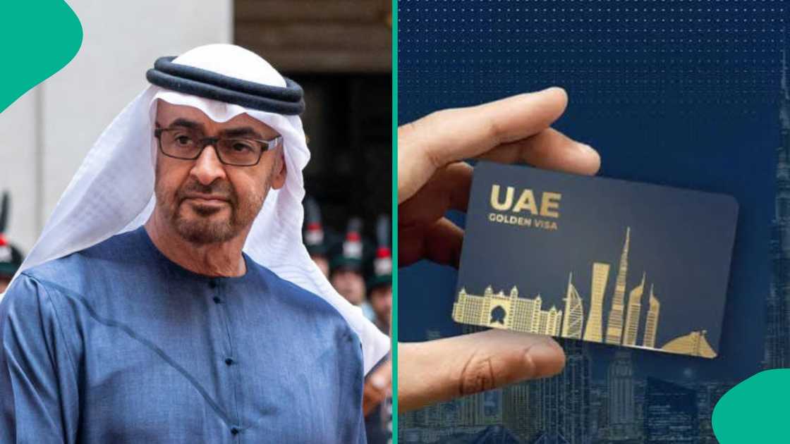 UAE mentions the jobs that can qualify for Abu Dhabi's 10-year Golden visa