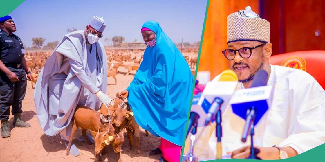 Radda launches N5.7 billion goat rearing initiative to boost livestock production in Katsina