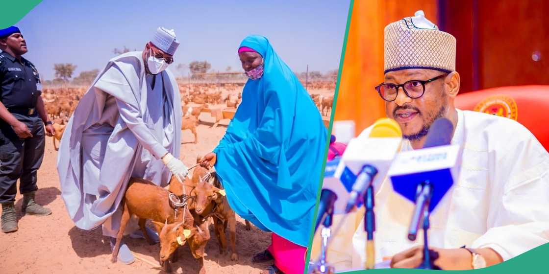 Radda launches N5.7 billion goat rearing initiative to boost livestock production in Katsina Radda launches N5.7 billion goat rearing initiative to boost livestock production in Katsina