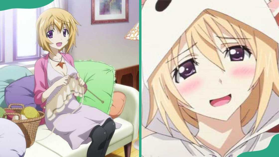 Charlotte Dunois from Infinite Stratos anime Charlotte Dunois from Infinite Stratos anime