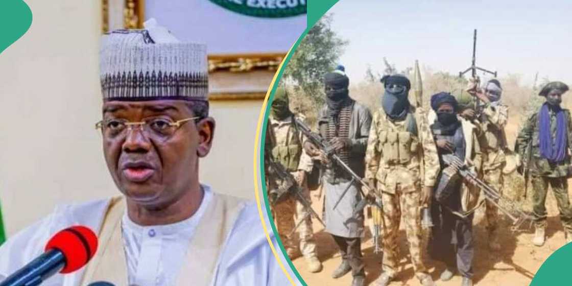 Ni na hana Arewa kamawa da wuta, Matawalle Ni na hana Arewa kamawa da wuta, Matawalle