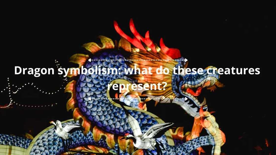 A dragon festival during night time A dragon festival during night time