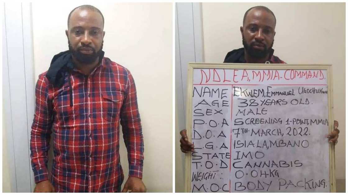 Just In: NDLEA Arrests General Overseer With ‘Cannabis Wrapped Around His Body’ at Lagos Airport Just In: NDLEA Arrests General Overseer With ‘Cannabis Wrapped Around His Body’ at Lagos Airport