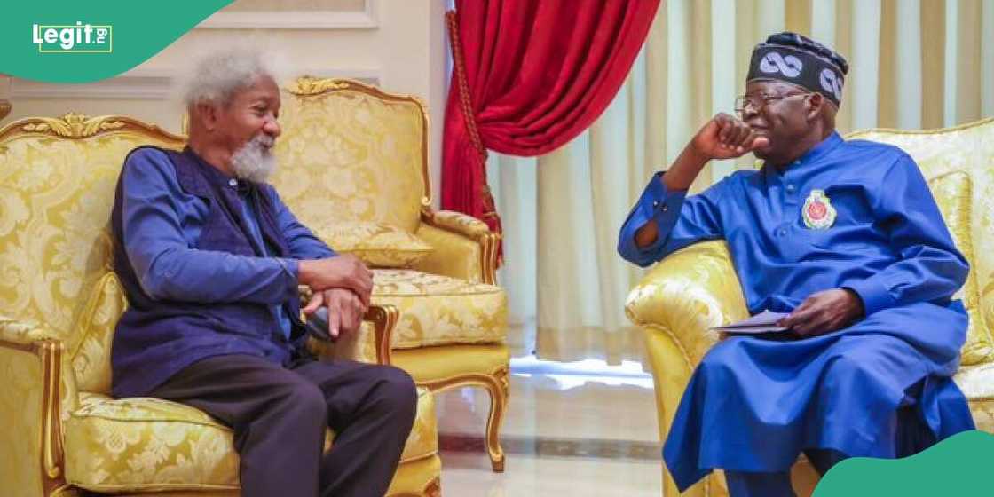 Soyinka reveals details of his visit to Tinubu in Lagos Soyinka reveals details of his visit to Tinubu in Lagos
