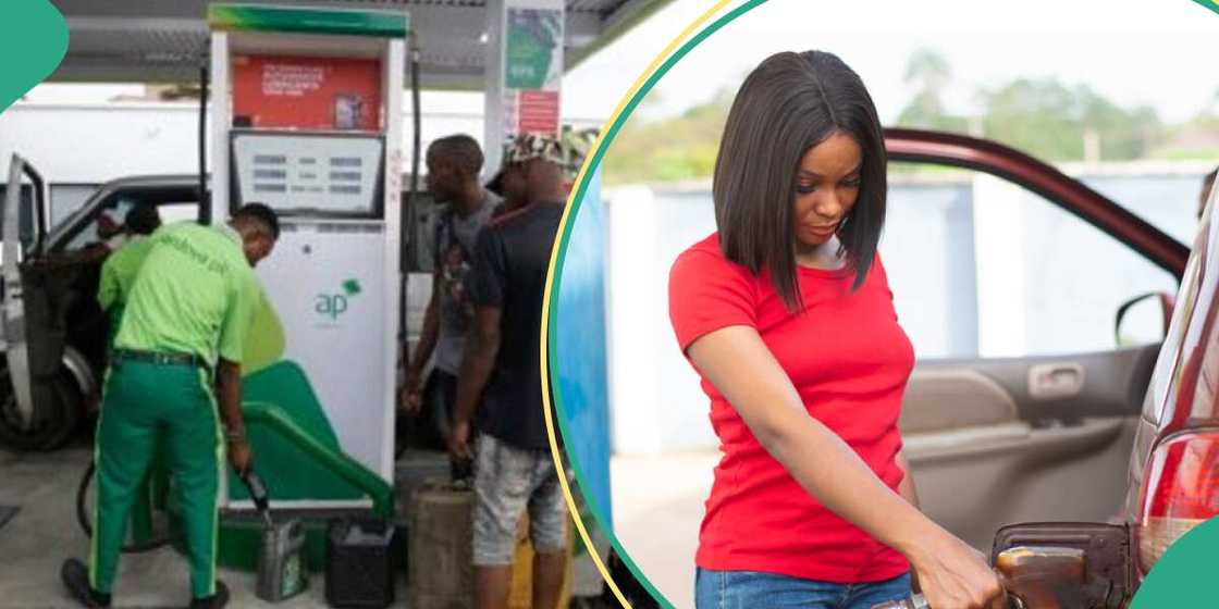 Fuel price Fuel price