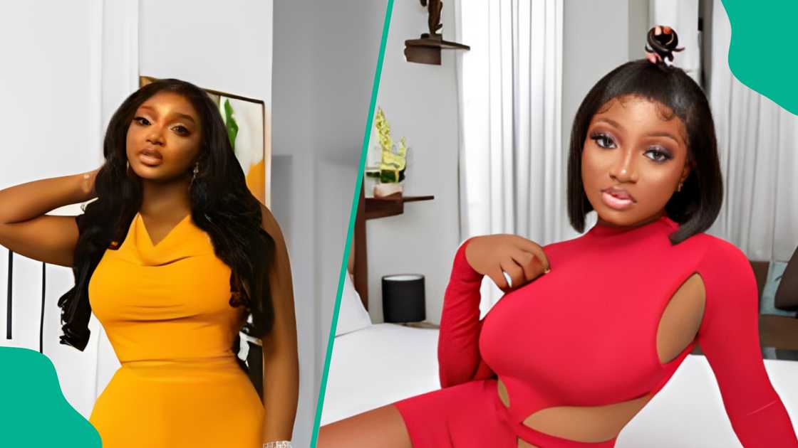 Papaya Ex reacts to allegation made against her by PA Papaya Ex reacts to allegation made against her by PA