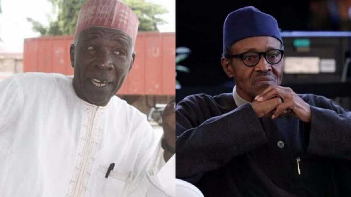 Ba fa a mulkin soja muke ba; Buba Galadima ya kwankwashi Buhari a kan taba jagororin ENDSARS