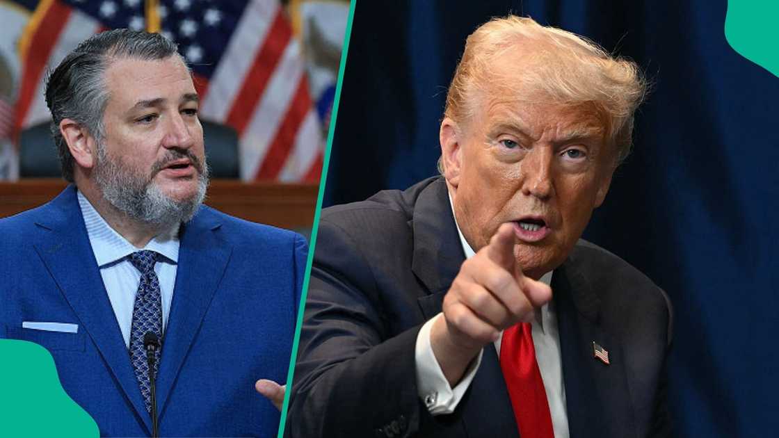 US lawmaker Ted Cruz reveals he is preparing a bill to challenge the enforcement of Sharia and blasphemy laws in Nigeria.