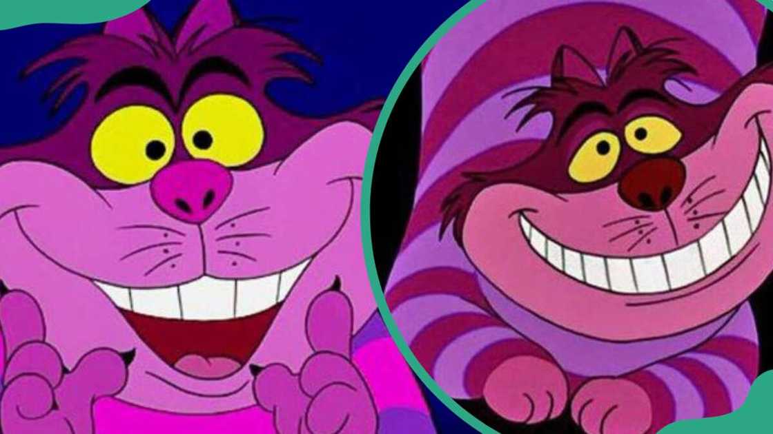 Cheshire Cat from Alice In Wonderland