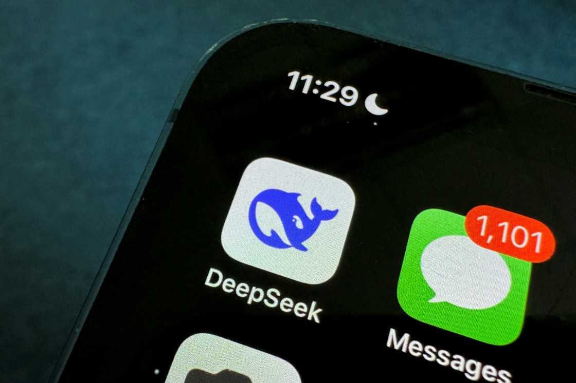 Investors have been spooked by the arrival of DeepSeek's chatbot, sparking a rout in high-flying tech titans