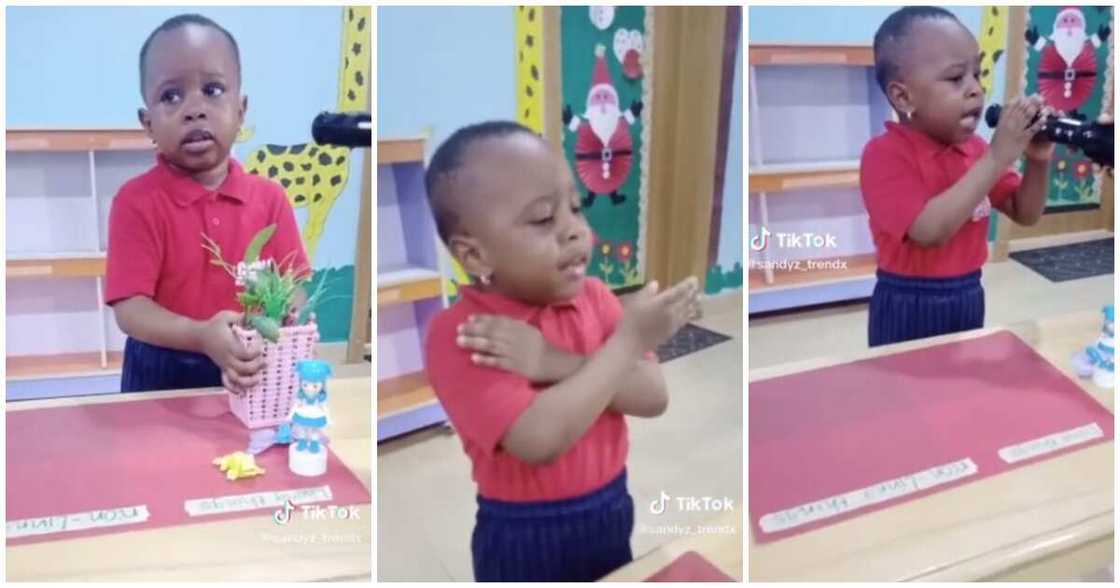 Little girl, good English, school presentation Little girl, good English, school presentation