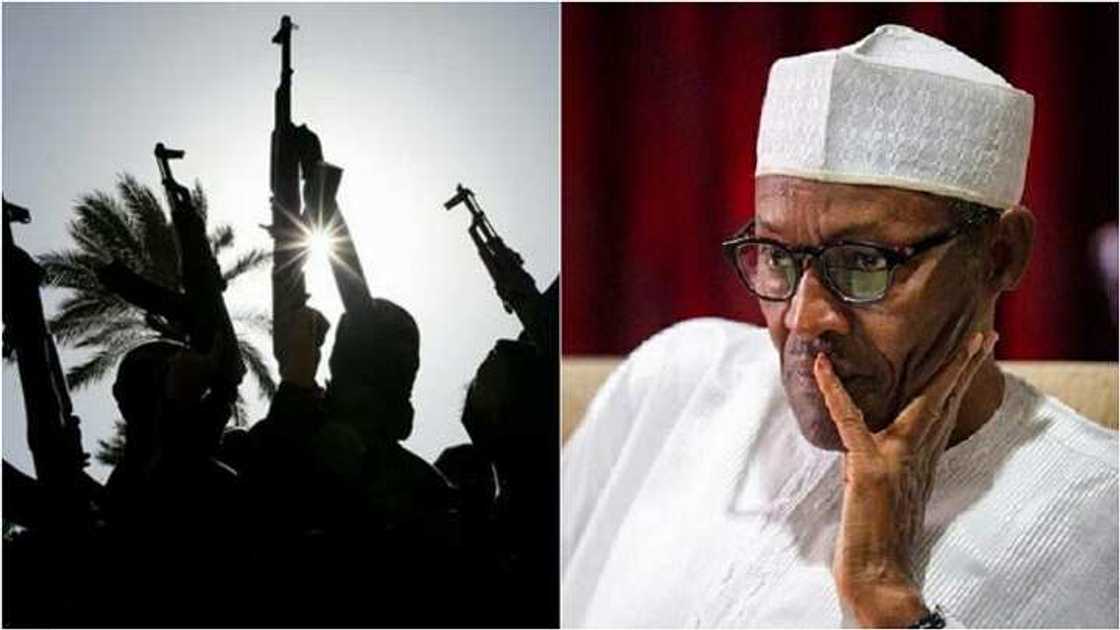 Nan da makonni kadan Boko Haram zasu zama tarihi - Buhari