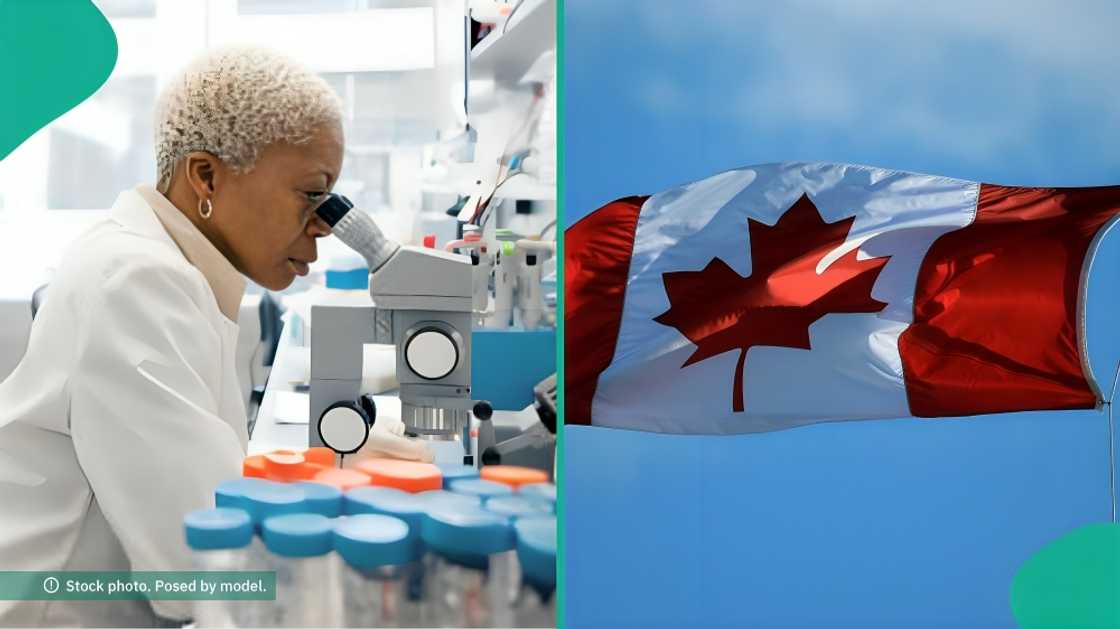 Canada has officially listed the categories of workers it is prioritising for permanent residence.