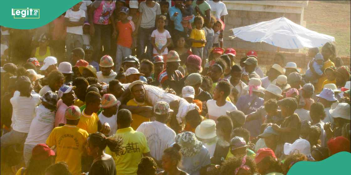 Military authorities have launched an investigation. Military authorities have launched an investigation.