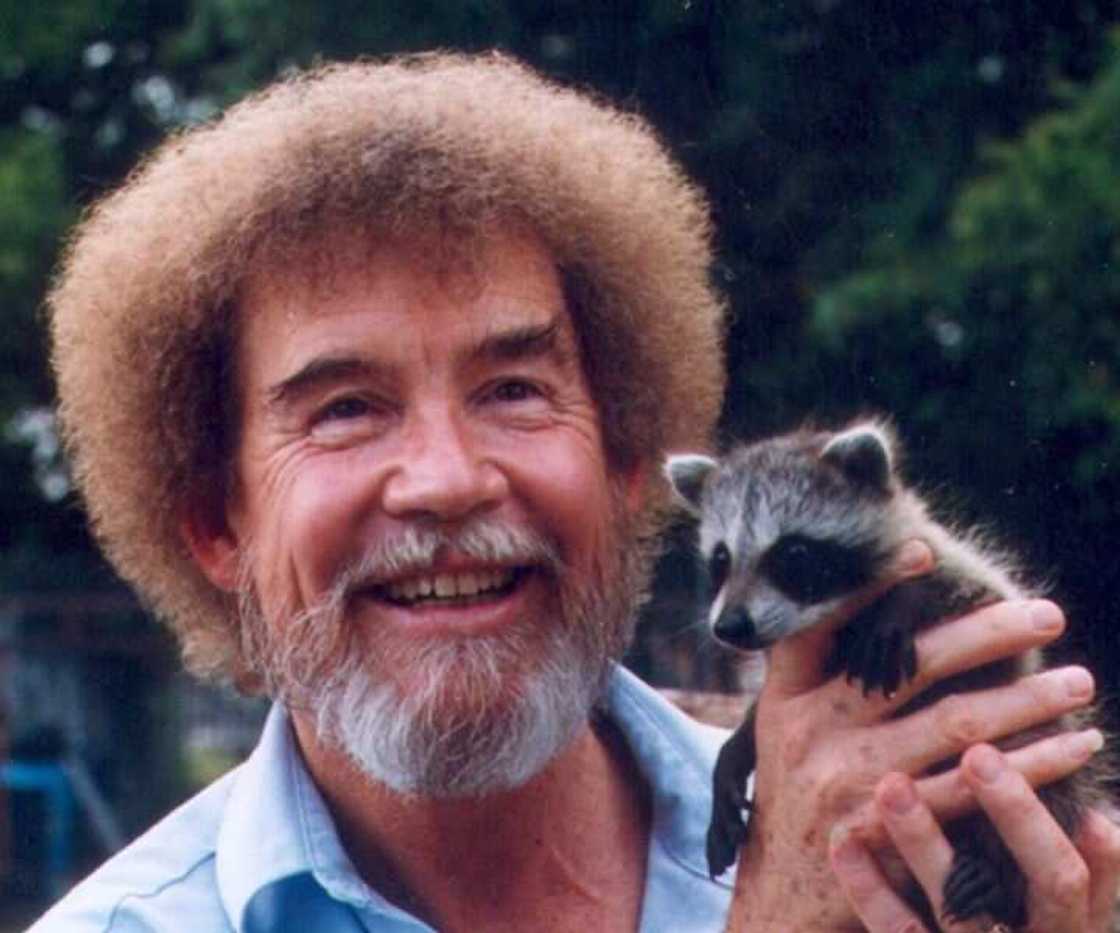 painter bob ross quotes painter bob ross quotes