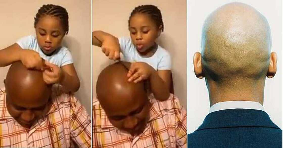 Little girl plaits father, bald head, funny video Little girl plaits father, bald head, funny video