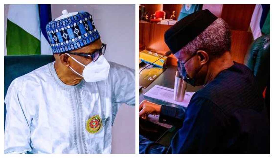 Buhari attends FEC meeting virtually from Daura