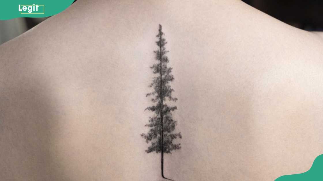 Tree spine tattoo