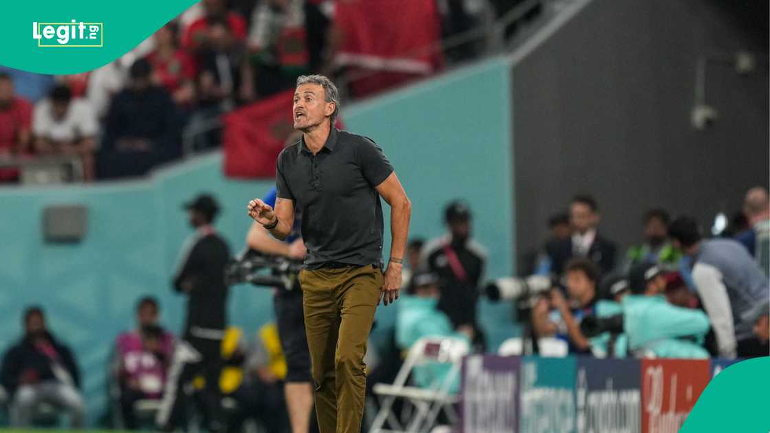 Luis Enrique, Spain, Morocco, Education City Stadium, Al Rayyan Qatar, 2022 FIFA World Cup. Luis Enrique, Spain, Morocco, Education City Stadium, Al Rayyan Qatar, 2022 FIFA World Cup.