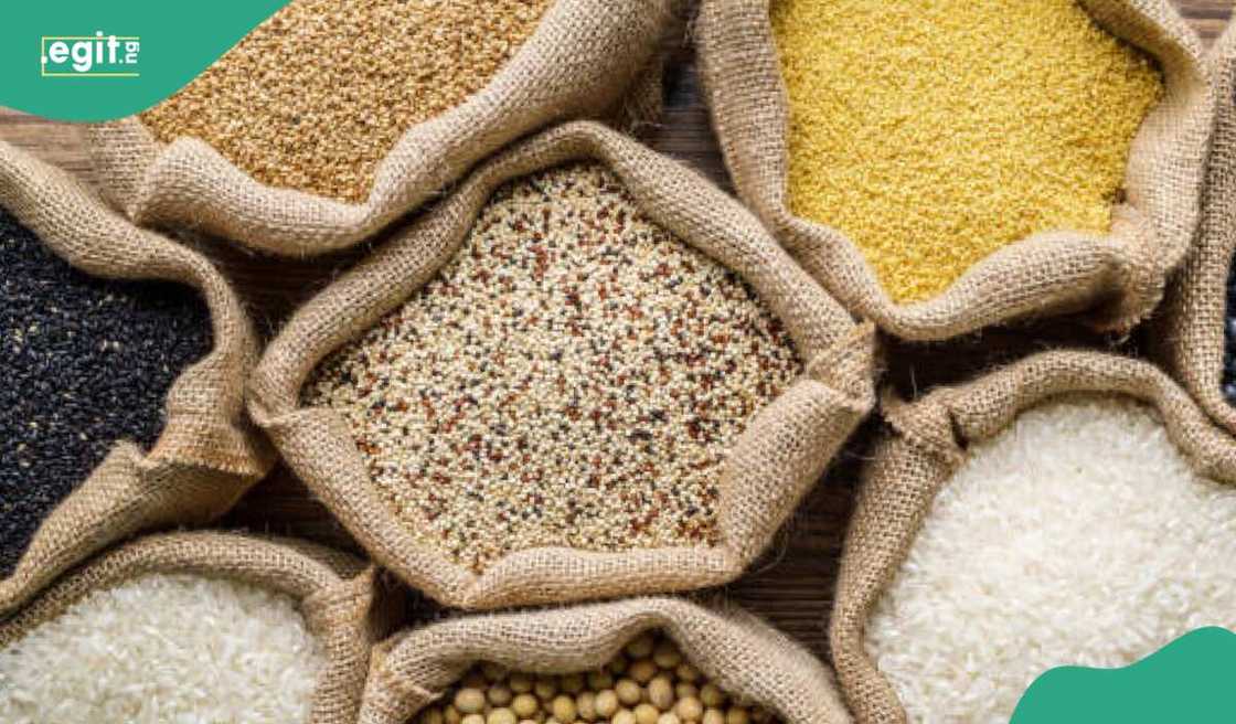 Kayan abinci Kayan abinci