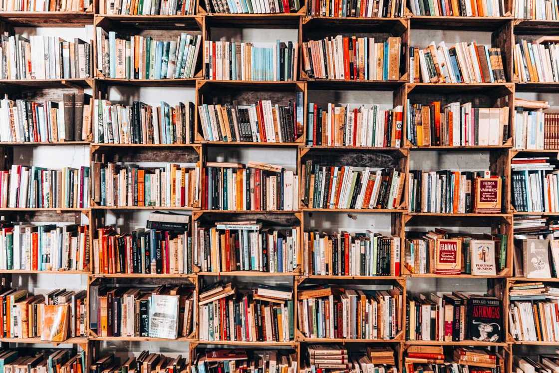 Books on shelves in the library