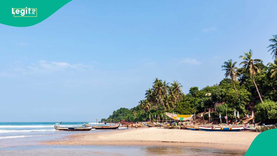 Rwanda visa-free entry boosts tourism and regional integration with clean cities and eco-adventures.
