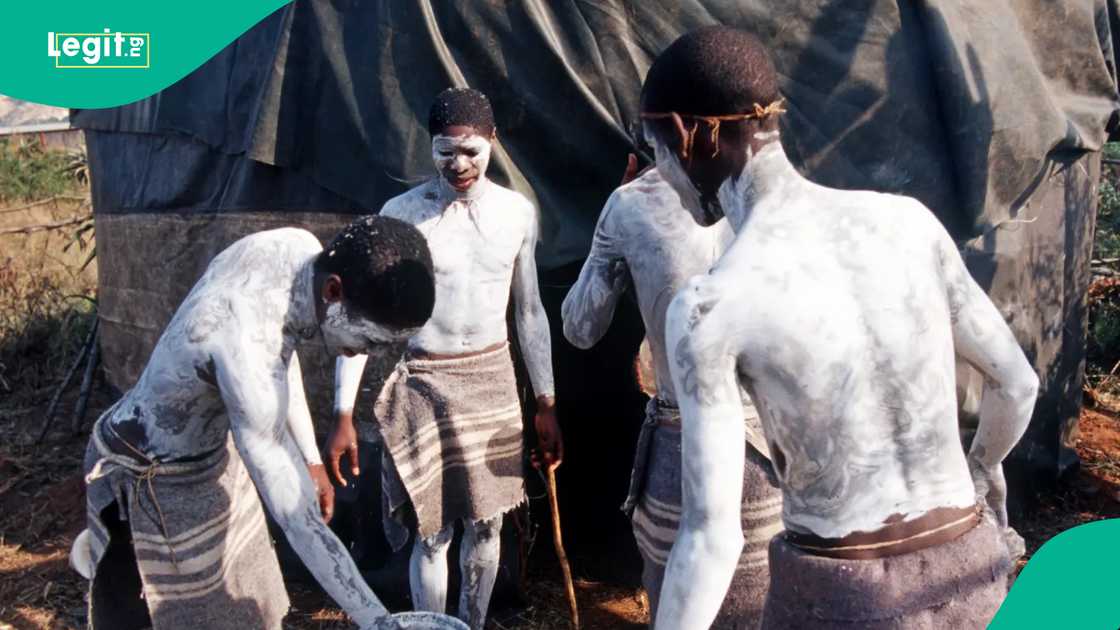 Mass circumcision ‘initiation ceremony’ kills 39 boys in South Africa, raising urgent calls for regulation of illegal schools. Mass circumcision ‘initiation ceremony’ kills 39 boys in South Africa, raising urgent calls for regulation of illegal schools.