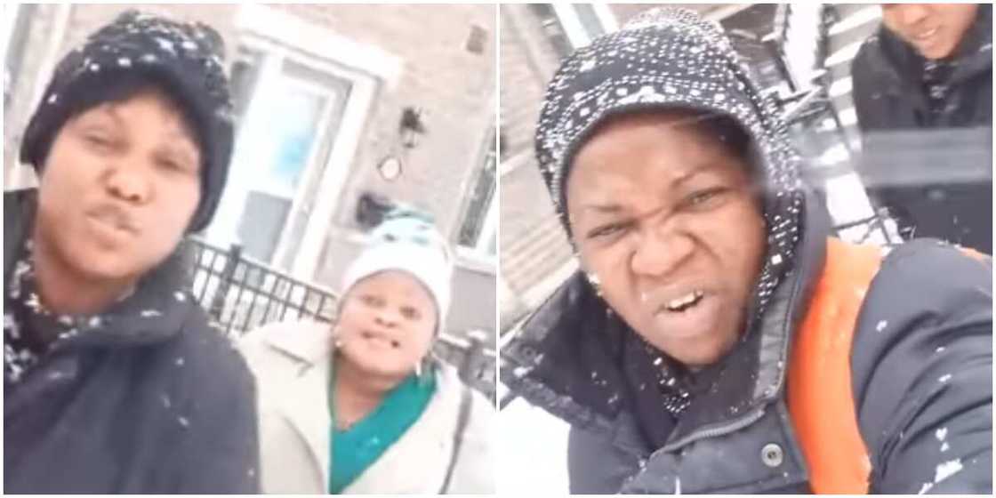 Iya Ibadansneh and Mama No Network Iya Ibadansneh and Mama No Network