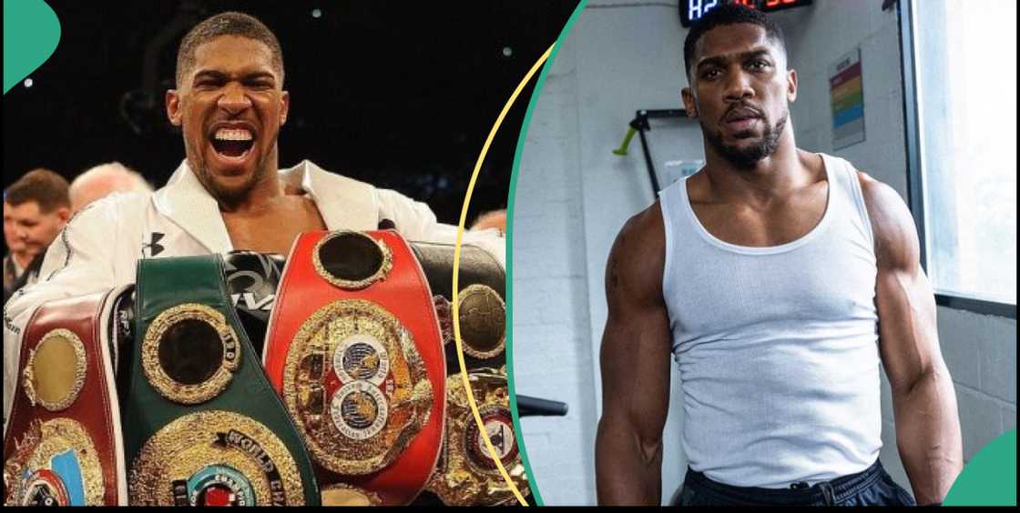 Anthony Joshua and his belts, Anthony Joshua