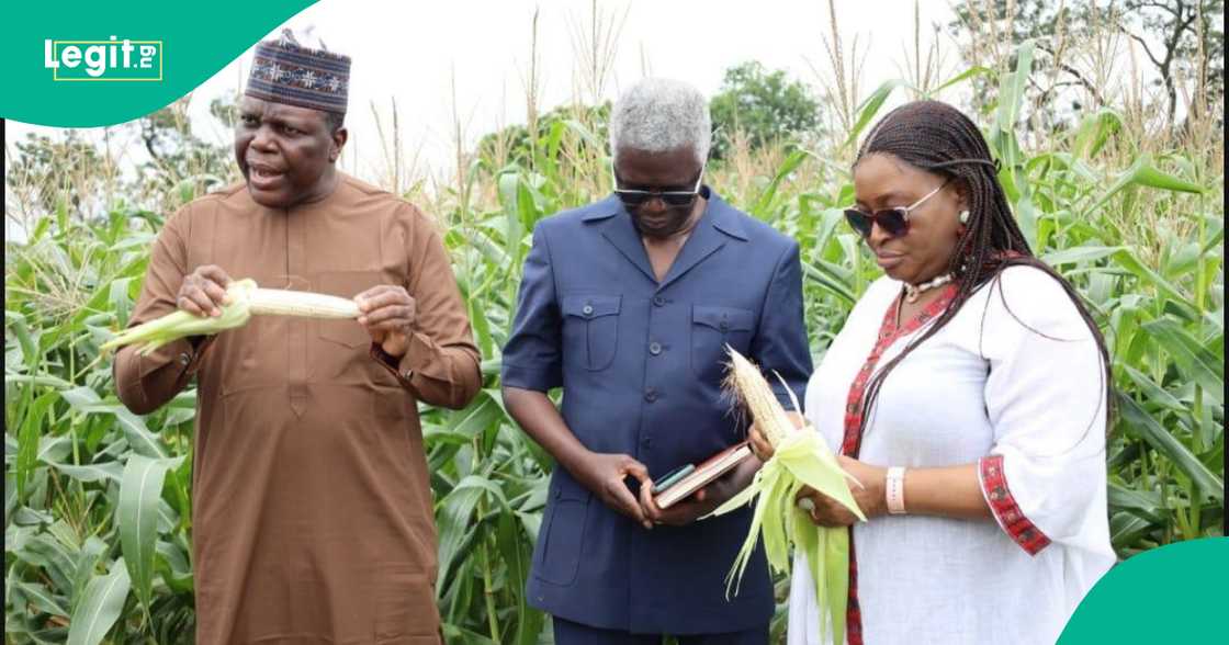Biotech, Agriculture Biotech, Agriculture