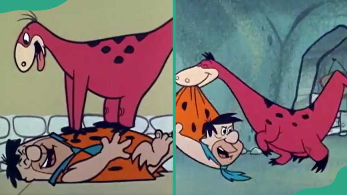 Dino from The Flintstones Dino from The Flintstones