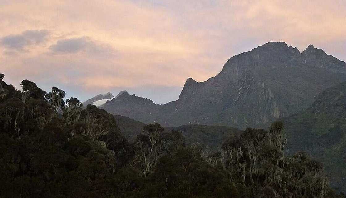 Rwenzori Mountains Rwenzori Mountains
