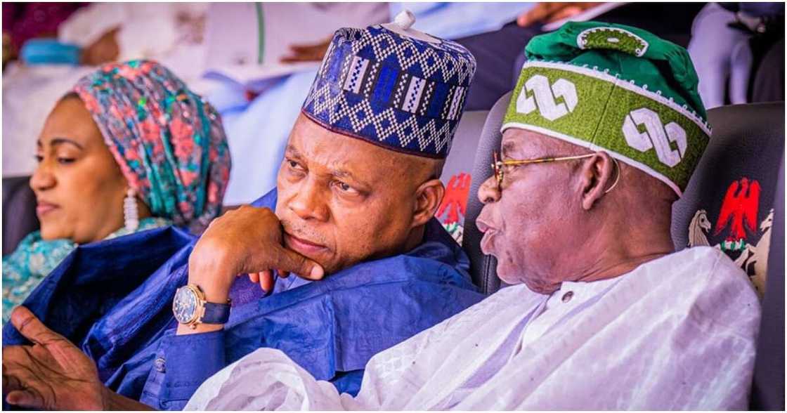 Northern Elders Forum, Bola Tinubu