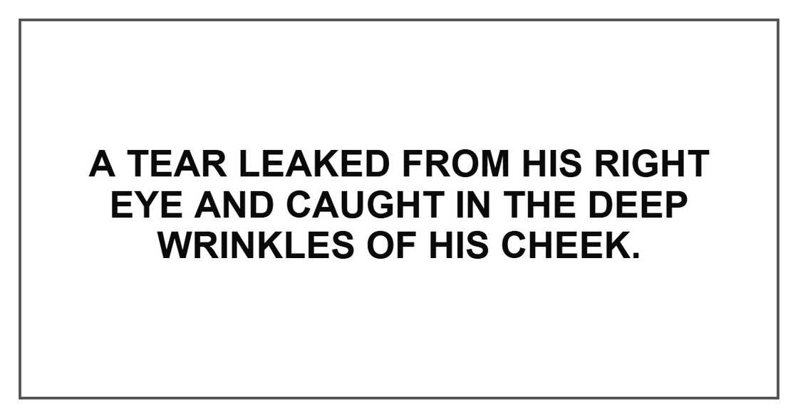 A tear leaked from his right eye and caught in the deep wrinkles of his cheek.