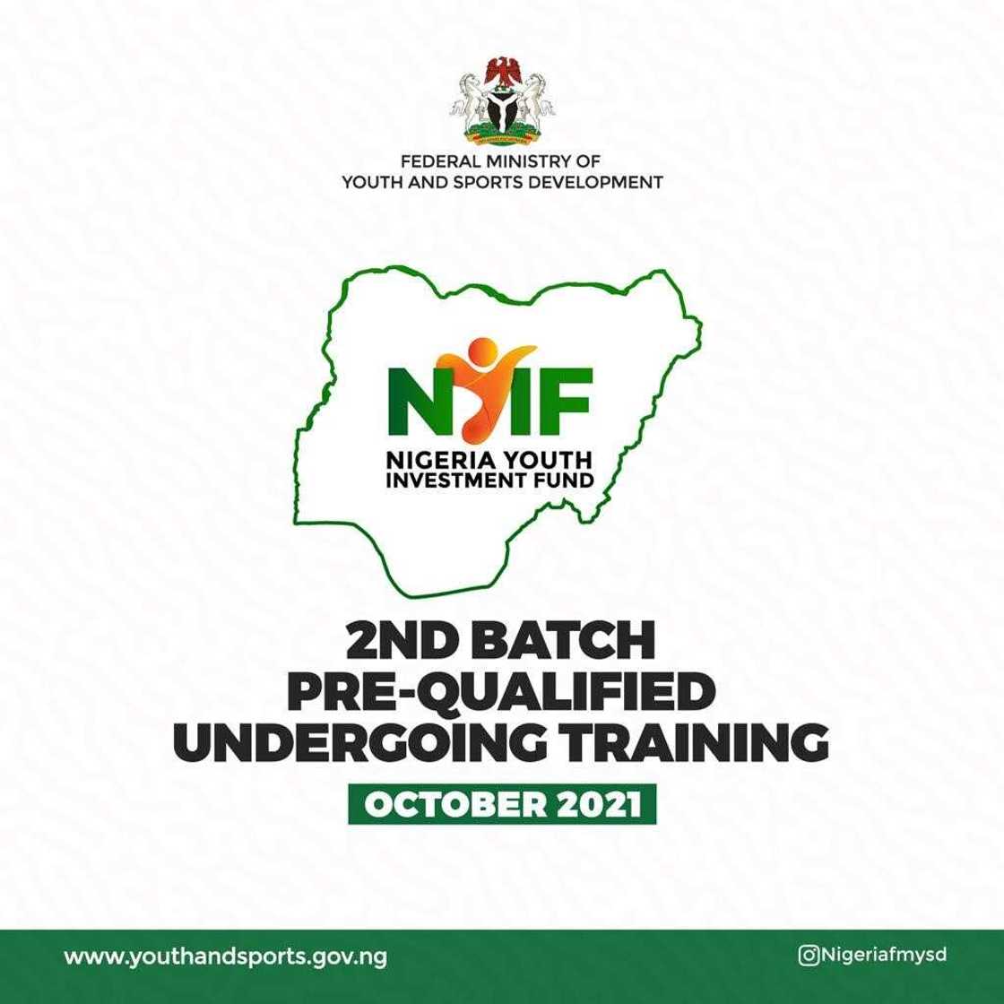 Nigeria Youth Investment Fund Budgets N75million to Empower Youths