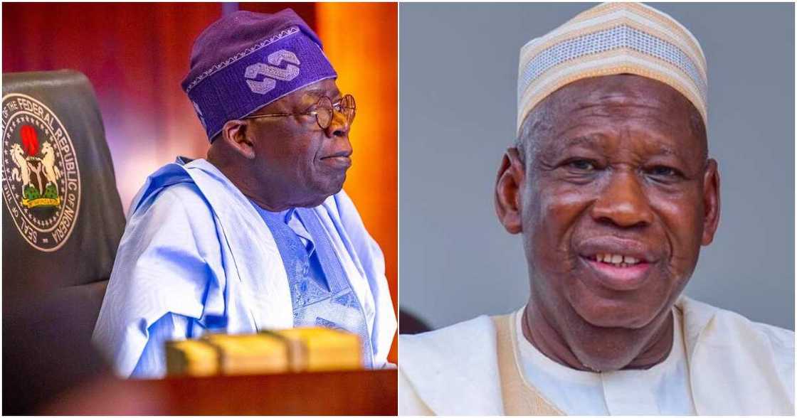 Bola Tinubu, APC, Kano state, APC national chairman, Abdullahi Ganduje